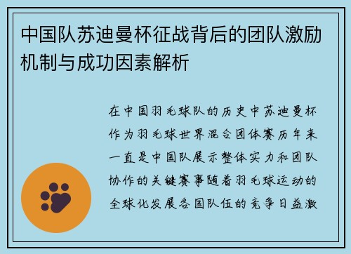 中国队苏迪曼杯征战背后的团队激励机制与成功因素解析
